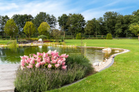 Schwimmteich