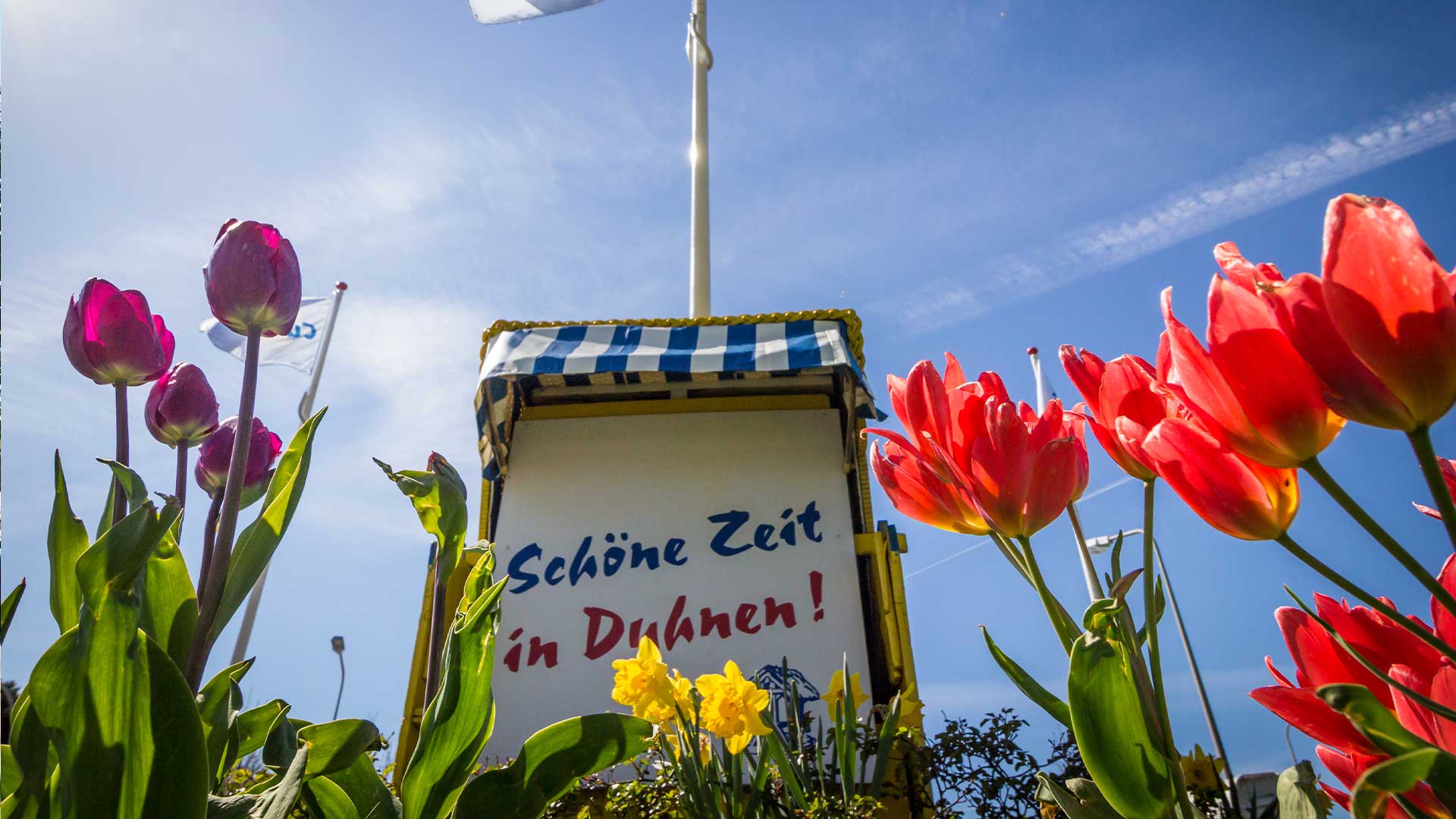 Mayer_und_Dau_Duhnen Mayer & Dau Oldenburg